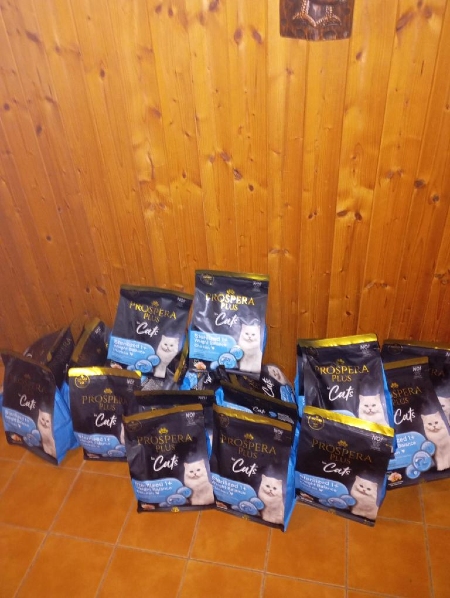 Náš kočičí domov